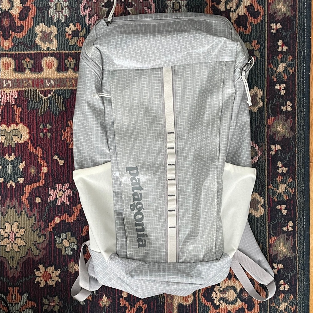 Patagonia 25L Black Hole Backpack